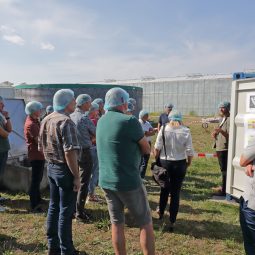 Veel interesse in eindresultaten van Project Koppert Cress