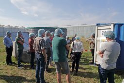 Intensive interest in final results of Koppert-Cress Project