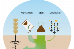 De tijd dringt – KRW factsheets van vier belangrijke stofgroepen