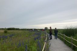 DPWE programmadag 2024