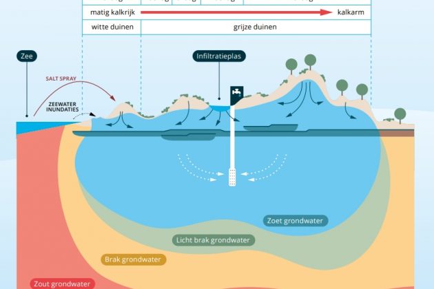Drinkwater in het landschap 