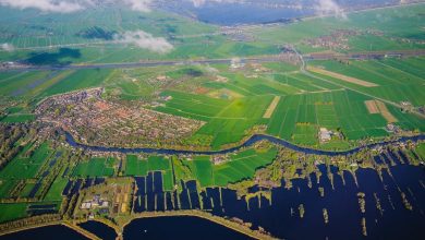 System knowledge about the water-energy-food-ecosystem nexus