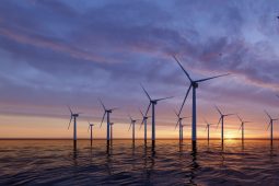 Lef tonen op het snijvlak tussen water en energie