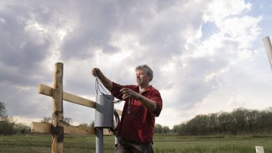 Restoration of ecosystems and biodiversity