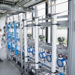 KWR ontvangt Europees patent voor toepassing natuurlijke virussen voor monitoring van zuiveringsprocessen