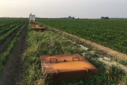 Groundwater infiltration and recharge: what we know