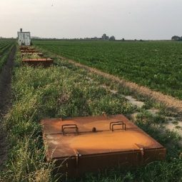 Infiltreren en aanvullen van grondwater: wat we hierover weten