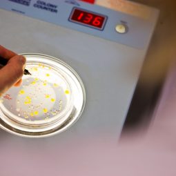 From science to policy with PARC