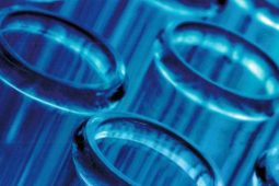 Immunotoxicity: The Hidden Health Risk