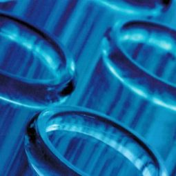 Immunotoxicity: The Hidden Health Risk