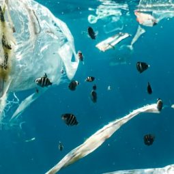 Met stapsgewijze methode PFAS beter in beeld krijgen