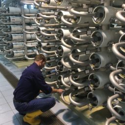 Procesbewaking drinkwaterzuiveringen met natuurlijke virussen