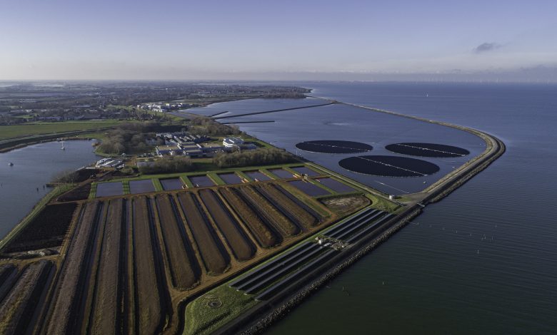 Zonnepark_Andijk