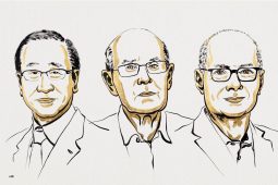 Nobelprijs voor MOF’s: poreuze materialen met potentie
