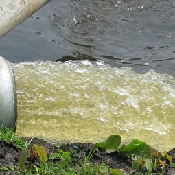 PFAS en de watersector: hoe ver staat het met de kennis?